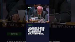 L&#39;ambasciatore palestinese scoppia in lacrime all&#39;Onu parlando dei bambini: &quot;È insopportabile&quot;