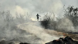 Spenti gli incendi a Cipro, ma resta alta l&#39;allerta per la temperatura sopra i 40 gradi