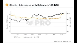 BITCOIN Esta es una muy buena señal para #bitcoin #btc #btcusd #bitcoinprice #fomo #bullish #tothemoon