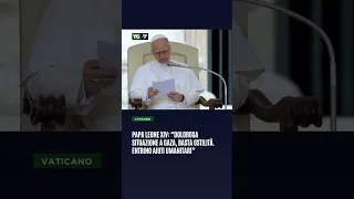 Papa Leone XIV: “Dolorosa situazione a Gaza, basta ostilità. entrino aiuti umanitari”