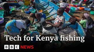 FD TECH PLC ORD 0.5P The tech solutions helping fishing communities in rural Kenya | BBC News