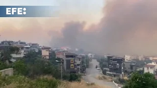 Remite la ola de 263 incendios declarados en Turquía en los tres últimos días