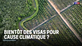 Bientôt des visas pour cause climatique ?｜LCI