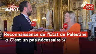Reconnaissance de l&#39;Etat de Palestine : &quot;un pas nécessaire&quot;