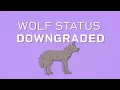 EU DECODED: How and why is EU downgrading protection status of wolves?