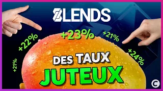 DEFI Tuto 8LENDS : des prêts participatifs DeFi pour financer des projets réels !