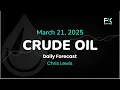 Crude Oil Price Forecast Today , Technical Analysis (March 21): WTI, Brent Give Back Initial Gains