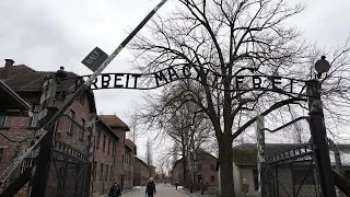 Homenaje a las víctimas del exterminio nazi en el 80 aniversario del Holocausto