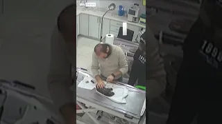 Moment dog carries sick puppy to the vet