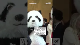 Chinese embassy in US celebrates 2025 Chinese New Year with panda-themed reception