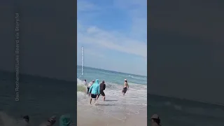 Arrastran a un tiburon blanco hasta la orilla de una playa | Noticias Telemundo