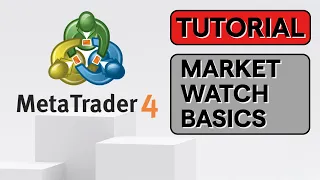 THE MARKET LIMITED Market watch basics on MT4