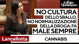 Cannabis, per FdI cannabis e cocaina sono la stessa cosa: &quot;No cultura dello sballo, sempre&quot;