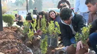 Volunteers plant trees as Syria&#39;s battered Aleppo returns to life