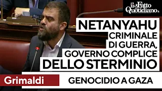 &quot;Netanyahu criminale di guerra&quot;, Grimaldi contro il governo: &quot;Complice dello stermino&quot;