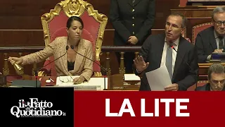 &quot;Non bacchetti le opposizioni&quot;, &quot;Non glielo consento&quot;, la lite Ronzulli-Boccia infiamma il Senato