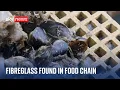 Fibreglass from boats found in marine food chain for first time