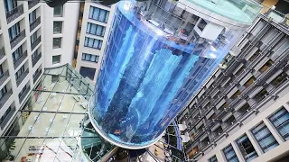 TR HOTEL Riesen-Aquarium &quot;AquaDom&quot; im Berliner Radisson Hotel zersprungen