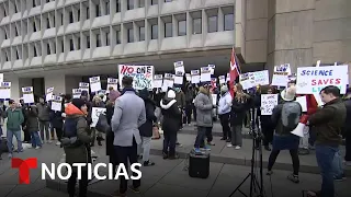 EN VIVO: Protestas contra los despidos masivos de empleados federales