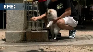 Nueve comunidades en alerta por calor y tormentas