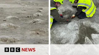 UK&#39;s biggest ever dinosaur footprint site discovered | BBC News