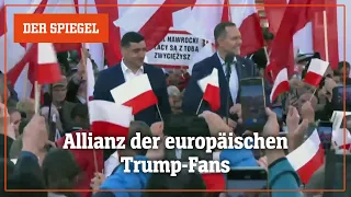 ALLIANZ SE NA O.N. Wahlen in Polen und Rumänien: Allianz der europäischen Trump-Fans | DER SPIEGEL