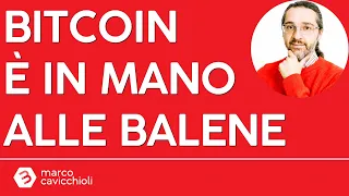 BITCOIN Bitcoin è in mano alle balene!