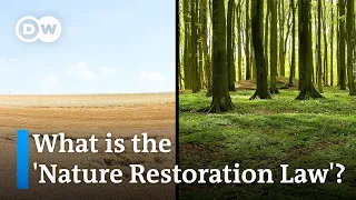 ECO SYSTEMS LTD European lawmakers vote on disputed bill to restore degraded ecosystems | DW News