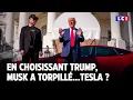 En choisissant Trump, Musk a-t-il torpillé Tesla ?｜LCI