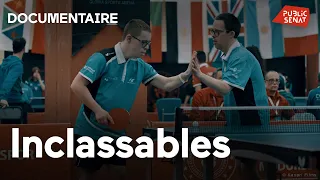 Inclassables