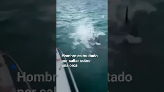 ORCA Hombre es multado por saltar sobre una orca