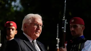 Bundespräsident Steinmeier löst Bundestag auf - Neuwahl am 23. Februar