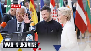 Zelenskyy joins European leaders for emergency Ukraine talks