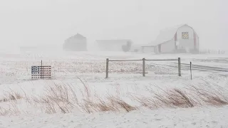 EN VIVO: Millones de personas en alerta por una ola invernal con frío gélido en Estados Unidos