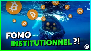 Le retour des baleines crypto (et leurs milliards) !?