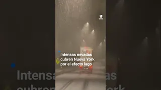 Imágenes de las intensas nevadas que cubren Nueva York por el efecto lago