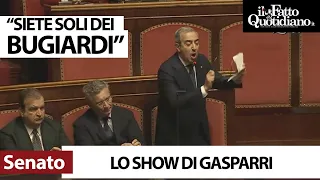 Gasparri show in Senato tra urla all&#39;opposizione e attacchi agli ambientalisti: &quot;Bugiardi&quot;