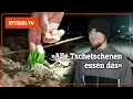 Illegal lecker: Die Jagd auf die Bärlauch-Diebe | SPIEGEL TV