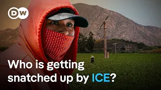 How ICE raids send shockwaves through local communities | DW News