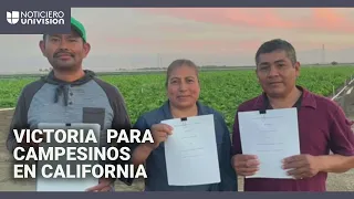 S&U PLC [CBOE] Victoria histórica para trabajadores agrícolas en California: lograron su primer contrato laboral