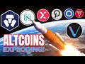 ALTCOINS ROCKETING: Harmony, StormX, Crypto.com, Polkadot, Chainlink, Chiliz and GeoDB 🚀😎