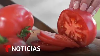 Llevar tomates a nuestras mesas será más caro y difícil tras el nuevo arancel impuesto por Trump