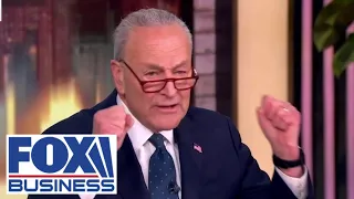 Schumer makes astonishing admission about the purpose of big gov&#39;t