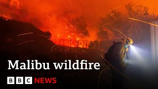 NEAR Evacuations ordered as wildfire spreads near Malibu | BBC News