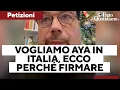 L'appello di Tomaso Montanari: “Facciamo uscire Aya Ashour da Gaza, la vogliamo in Italia”