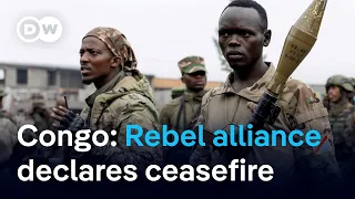 How likely is a ceasefire to hold? | DW News