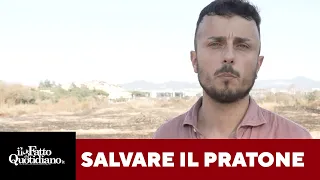 Roma, battaglia per salvare il Pratone di Torre Spaccata dal cemento: &quot;Unica arma contro il caldo&quot;