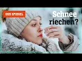 Warum der Wintereinbruch den Geruchssinn triggert – Shortcut | DER SPIEGEL