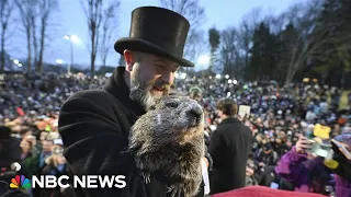 LIVE: Punxsutawney Phil makes 2025 Groundhog Day prediction | NBC News