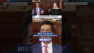 Why this DOGE employee goes by &#39;big balls&#39; #funny #elonmusk #doge #trump #foxnews #news #shorts